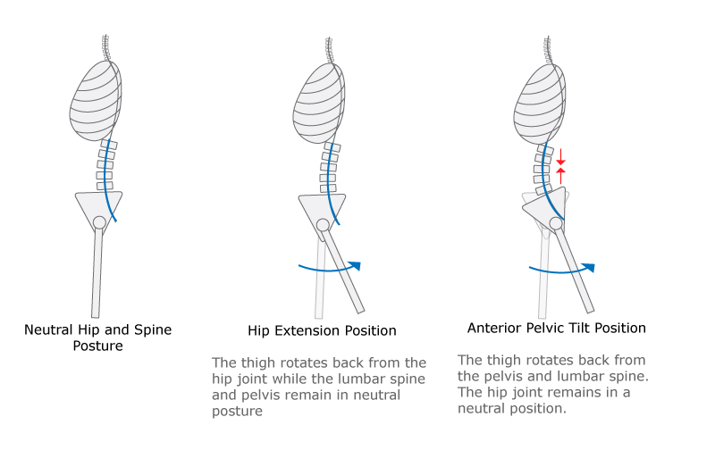 hip-extension-exercise-tract-gray-chiropractic-st-catharines-spine