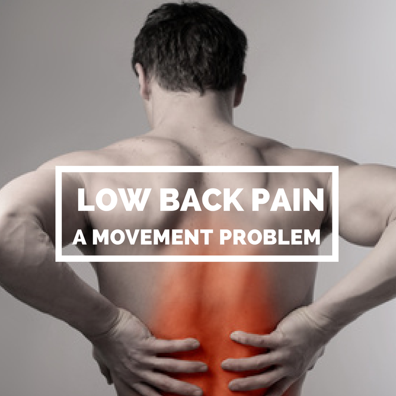 Low Back Pain – A Movement Problem