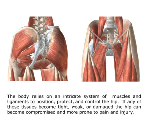 Hip Pain - Gray Chiropractic St.Catharines Spine & Joint Clinic